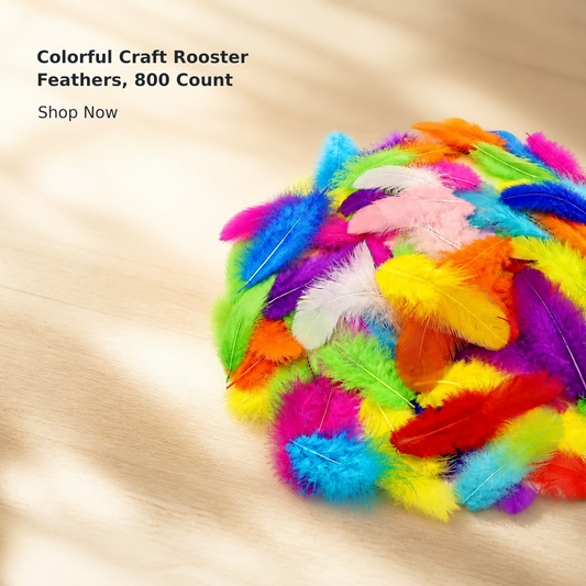 800-Piece Colorful Natural Rooster Feather Set