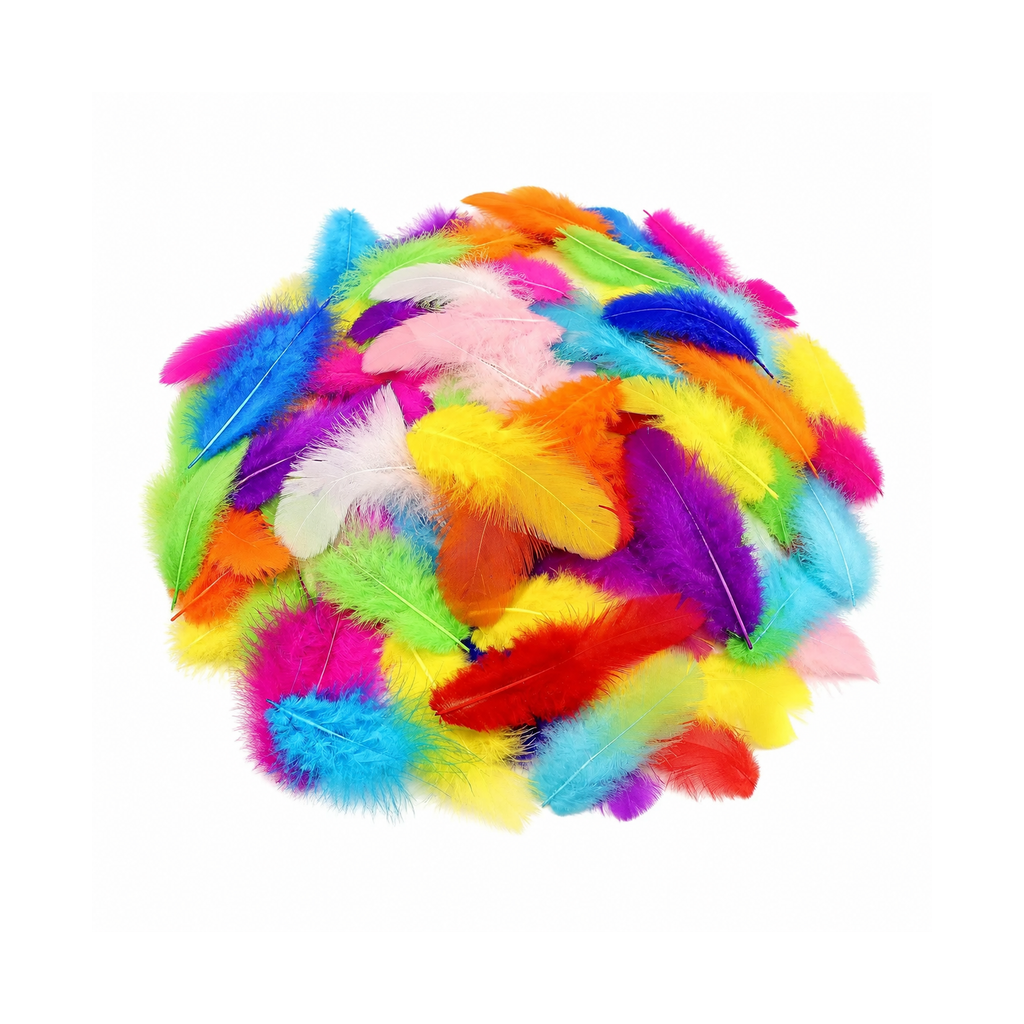800-Piece Colorful Natural Rooster Feather Set