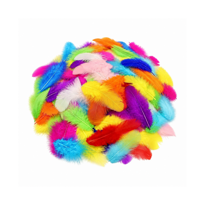 800-Piece Colorful Natural Rooster Feather Set