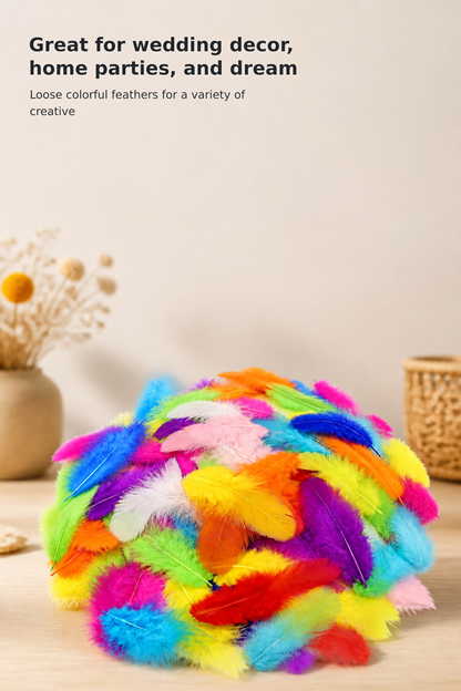 800-Piece Colorful Natural Rooster Feather Set